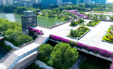 佛山物业城市项目时花采购及配套服务